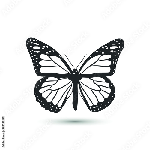 Vector butterfly icon/ Black and white butterfly symbol for design, banner, textile, logo.