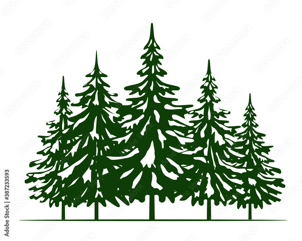 Green Spruce Trees and Snow. Winter season design elements and simply pictogram. Isolated vector xmas Icons and Illustration.