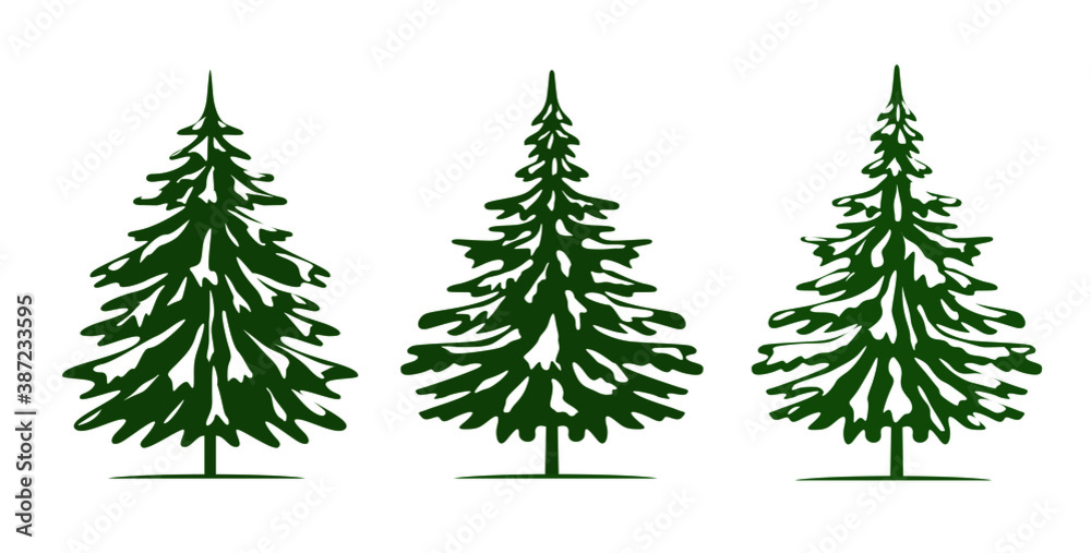 Green Spruce Trees and Snow. Winter season design elements and simply pictogram. Isolated vector xmas Icons and Illustration.