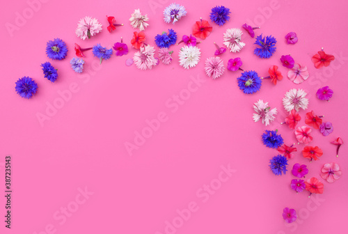 beautiful wild flowers on pink background view from above. © Tatsiana