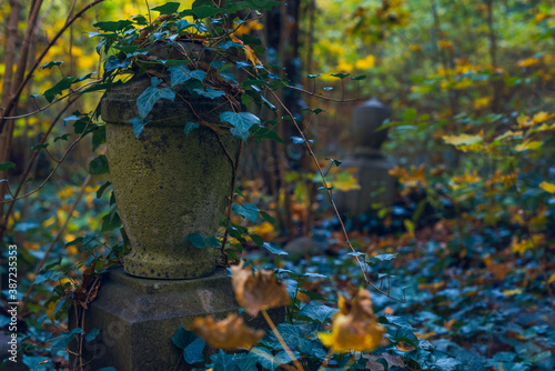 Old graves that nobody cares about anymore, old overgrown graves in a cemetery, autumnal, dark photo