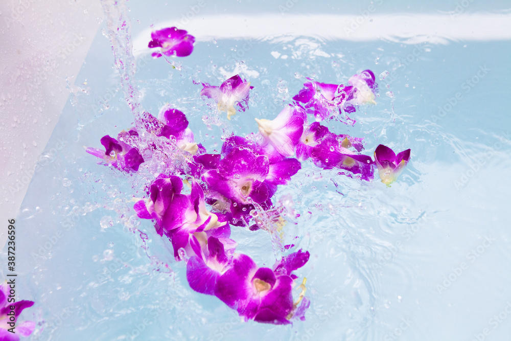 Fototapeta premium バスタブに浮かぶランの花