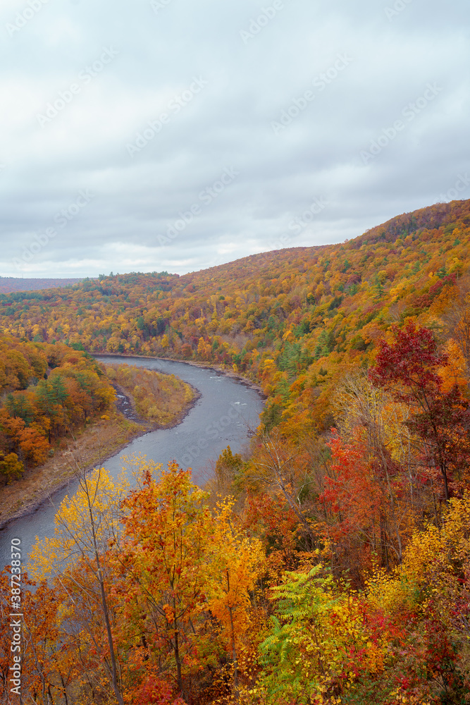 Obraz premium Fall foliage forest. Hills, cloudy sky and curving river