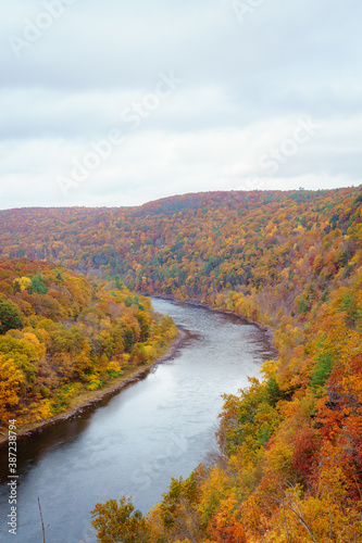 Fall foliage forest. Hills, cloudy sky and curving river