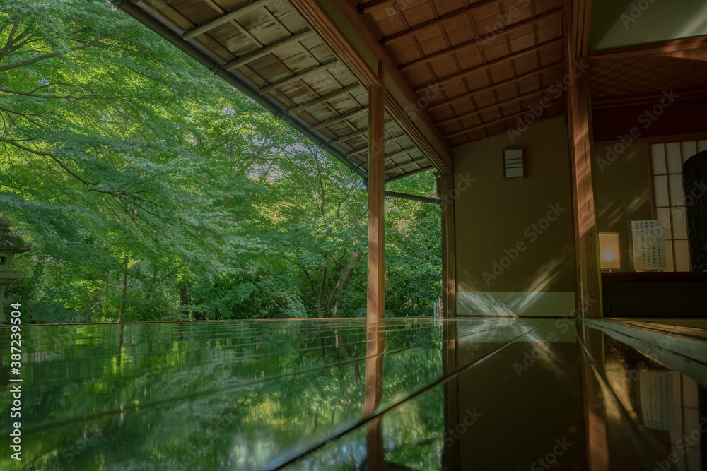 Obraz premium 京都 日本 お寺 広告 写真 素材 日本庭園 数寄屋造 紅葉 春 夏 秋 四季 自然 歴史 観光 旅行 