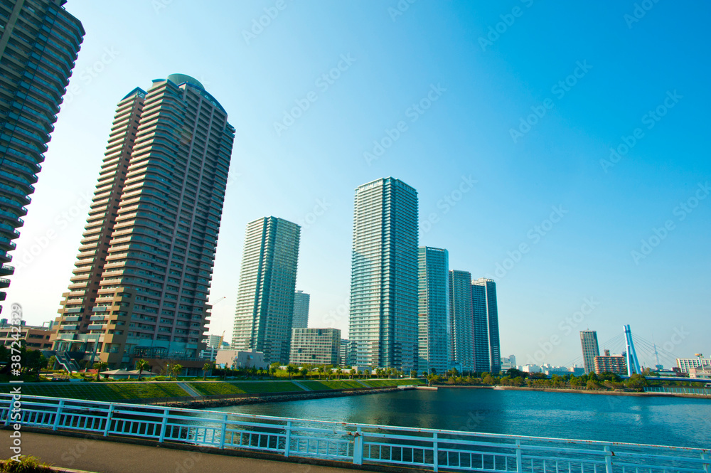 豊洲の高層マンション群 豊洲の高層マンション群