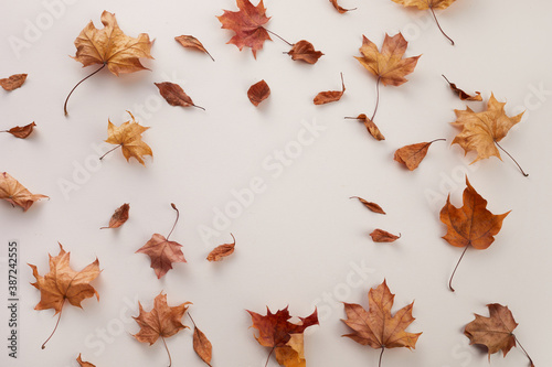 Autumn composition. Dried leaves on white background. Top view. Flat lay.
