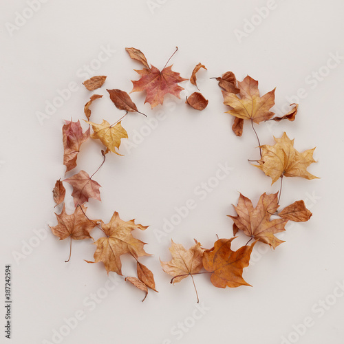 Autumn composition. Dried leaves on white background. Top view. Flat lay.