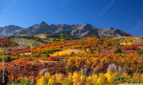 Obraz na plátně Fall foliage at Continental divide near Ridgeway, Colorado
