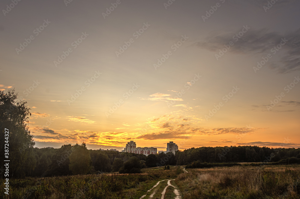 meadow, forest and big city houses in the distance at sunset golden hour