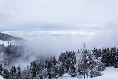 panoramic view of fog over alps white snow winter forest valley of alps mountains 