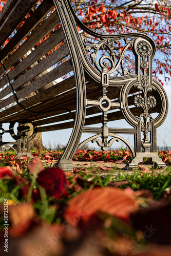 Old bench with red autumn leaves 