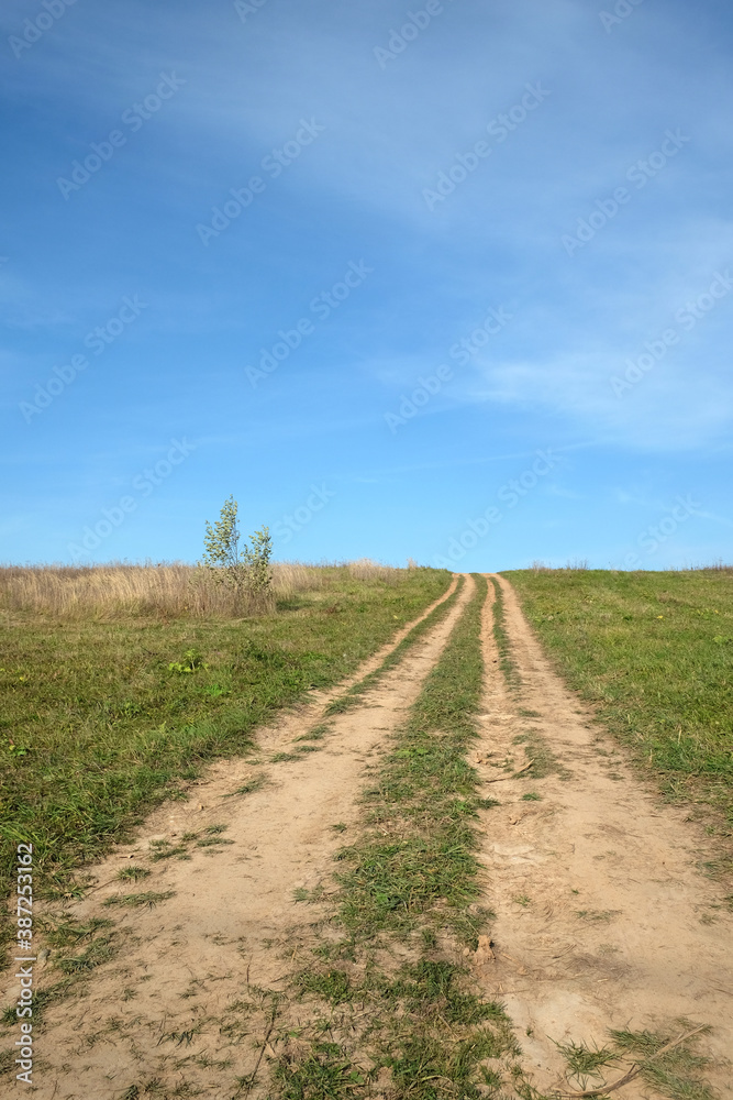 Rural rustic landscape with front view of ground road runs ahead through a green field under clear blue sky to horizon on sunny summer day