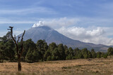 Stunning landscape view of a forested area with volcan popocatepetl on the horizon top in clouds