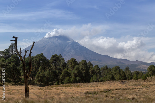 Stunning landscape view of a forested area with volcan popocatepetl on the horizon top in clouds photo