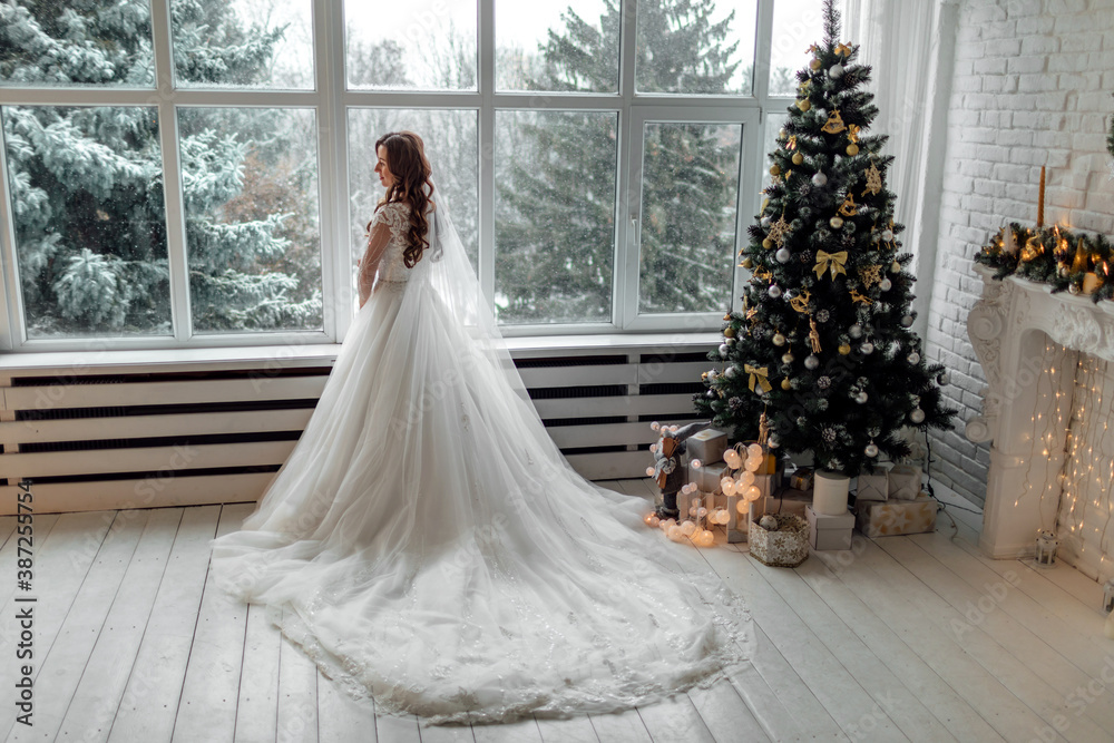 Luxury bride in wedding dress for Christmas near the large panoramic  window. Luxury bride in wedding dress for Christmas. Charming bride in an elegant  wedding dress. Bride in luxurious suites. Stock-Foto