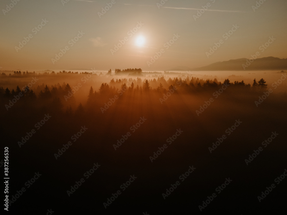 Traumlandschaft Sonne, Nebel, Bäume, Licht im Abendrot Traumlandschaft Sonne, Nebel, Bäume, Licht im Abendrot
