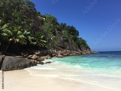Fototapeta Naklejka Na Ścianę i Meble -  Beach in Seychelles