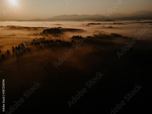 Traumlandschaft Sonne  Nebel  B  ume  Licht im Abendrot