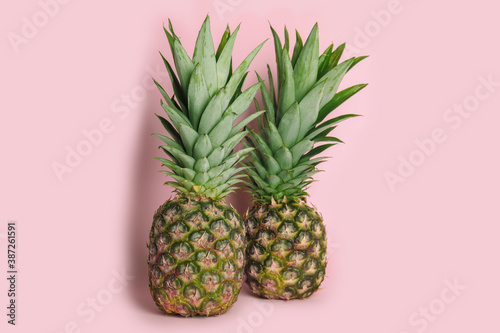 Whole ripe juicy pineapples on pink background