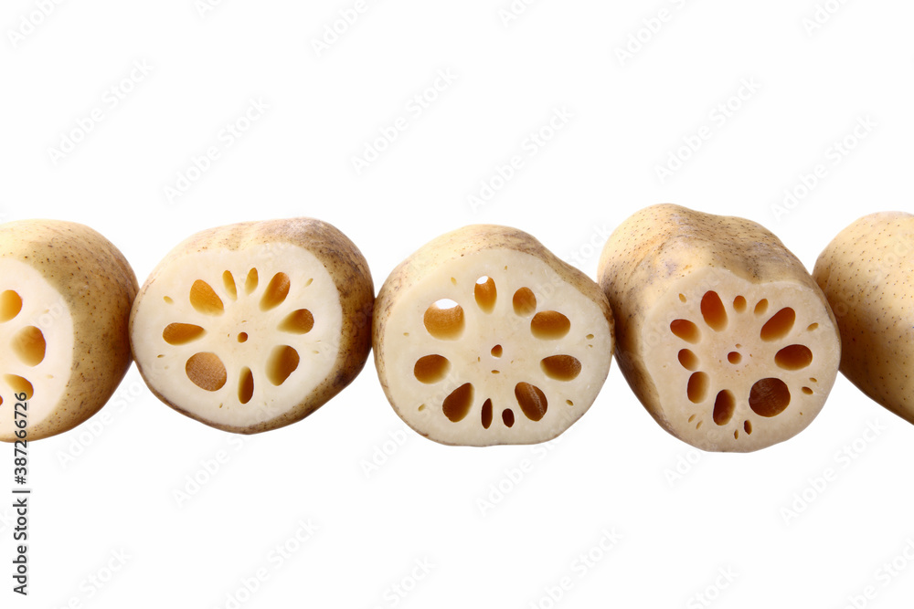 Obraz premium レンコン