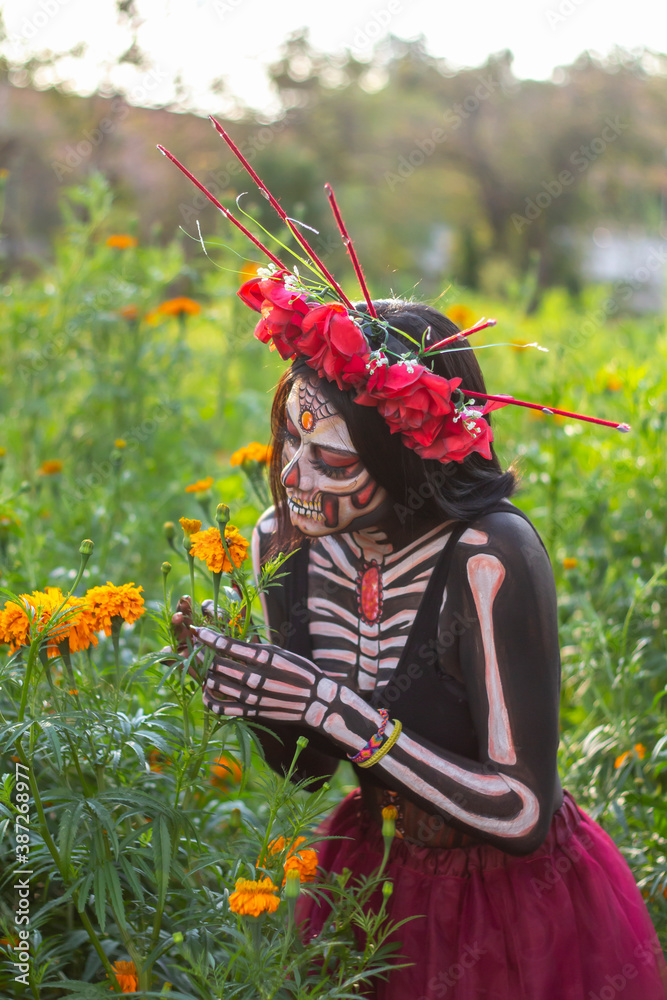 Mujer maquillada como catrina en un campo de cempasúchil. Stock Photo |  Adobe Stock