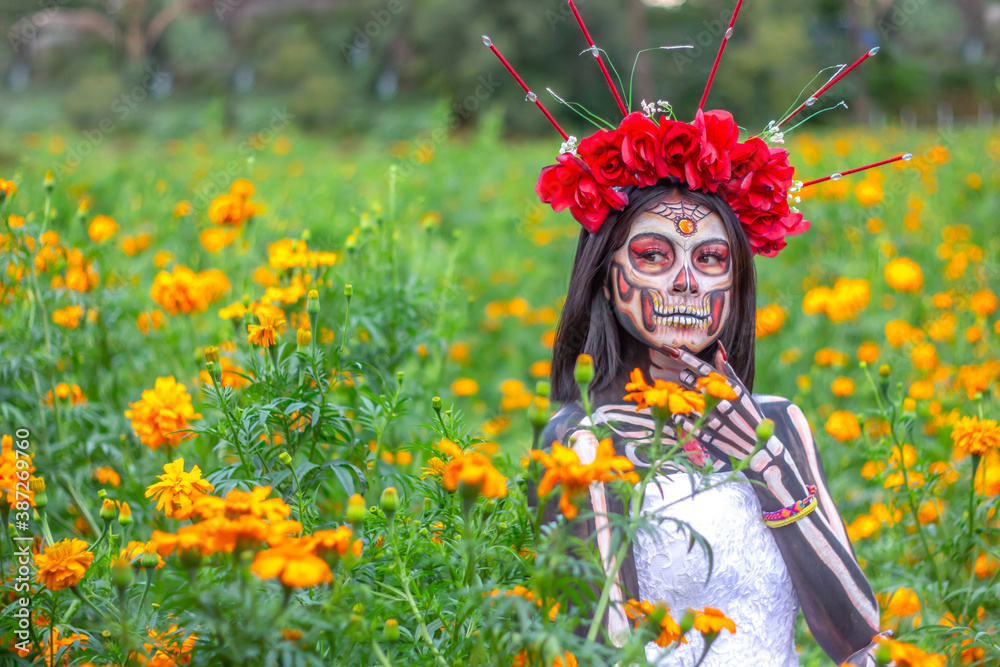 Mujer maquillada como catrina en un campo de cempasúchil. Mujer maquillada como catrina en un campo de cempasúchil.