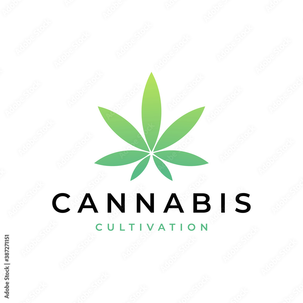 Cannabis leaf logo design vector icon