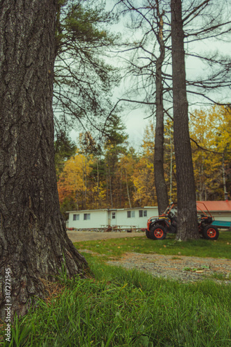 mower in the park