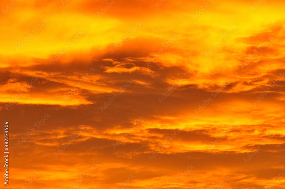 Fototapeta premium 夕焼け雲