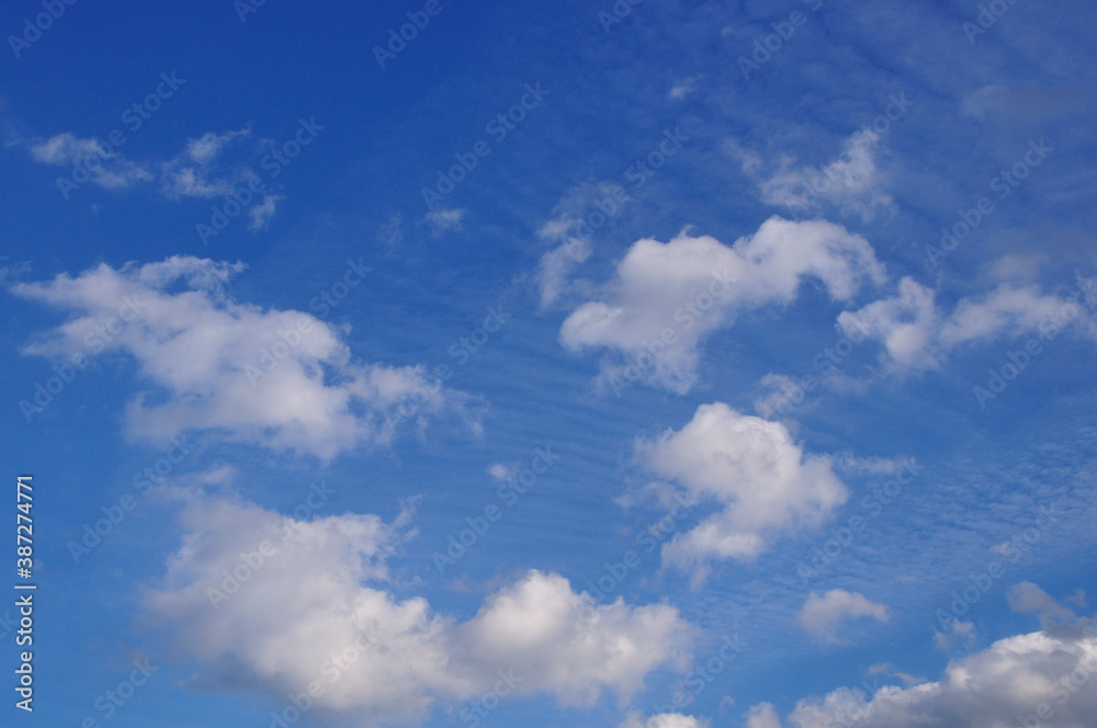 Fototapeta premium 青空と白い雲