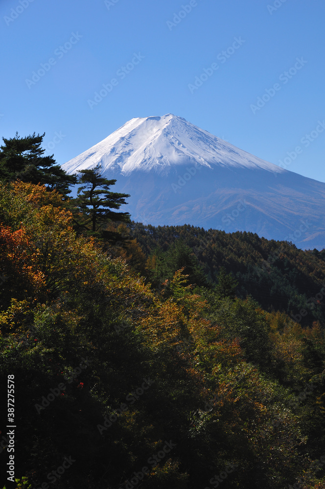 秋の富士