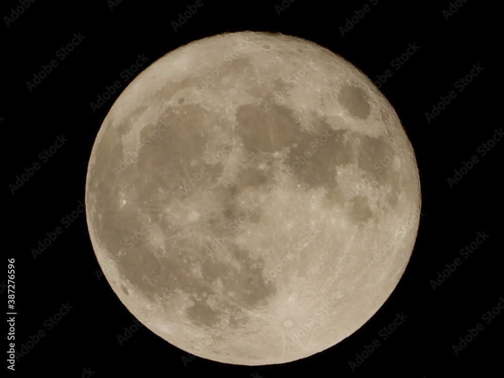 Obraz premium ムーン