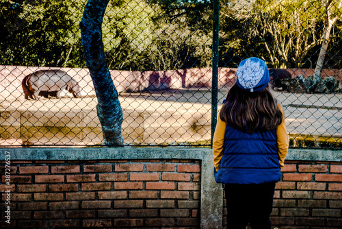 Criança vendo um hipopótamo no zoológico photo