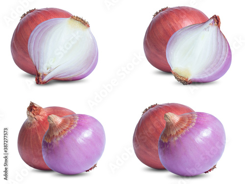 collection mix set red onion isolated on white background
