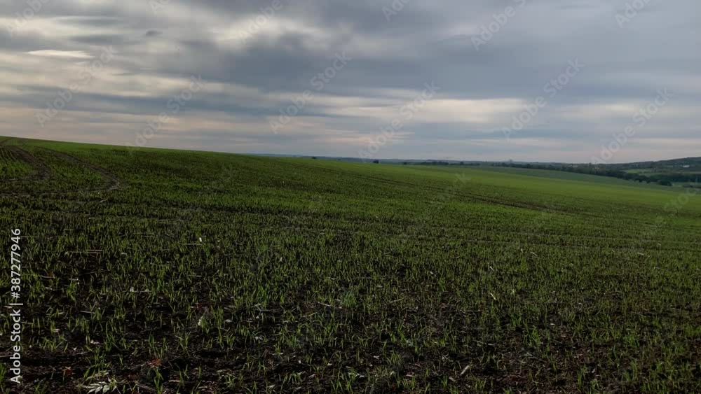 Open green field in the countryside during a cloudy autumn day. Open green field in the countryside during a cloudy autumn day.