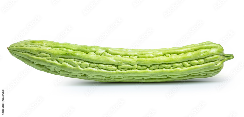 Bitter melon gourd vegetable isolated on white background Bitter melon gourd vegetable isolated on white background
