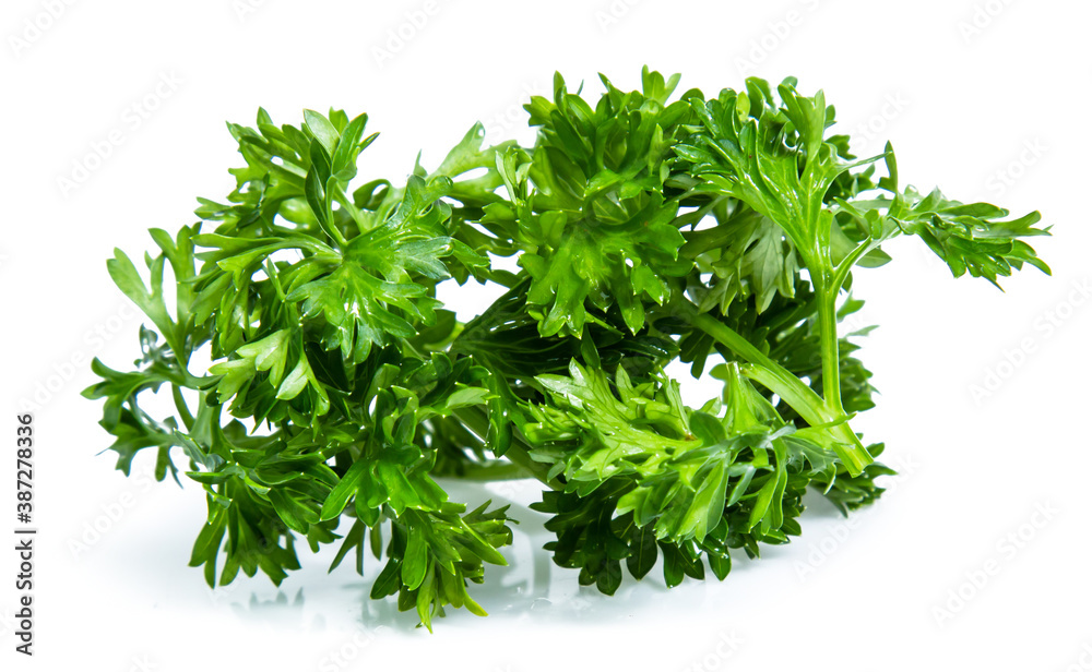 Parsley isolated on white background