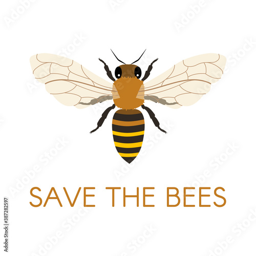 Save the bees. Honey Bee. 