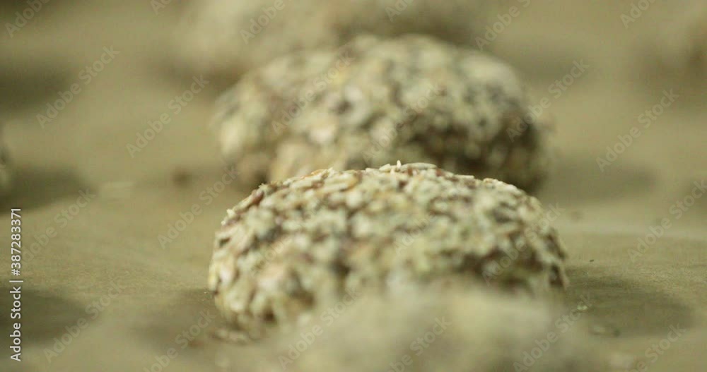 Racking Focus Of Hamburger Bread Dough Loaded With Seeds On A Baking Tray Racking Focus Of Hamburger Bread Dough Loaded With Seeds On A Baking Tray