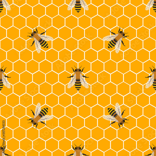 honey bee and honeycomb