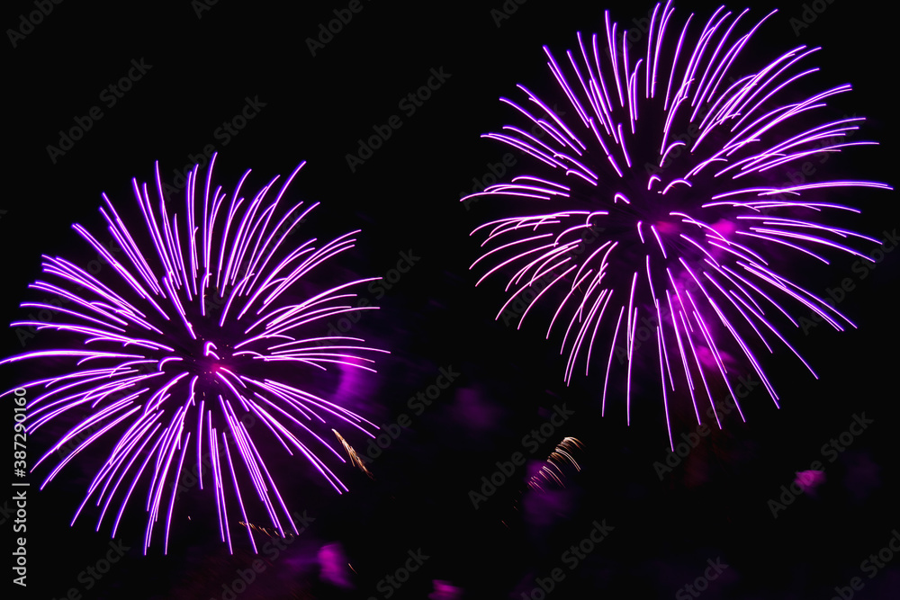 bright sparkling fireworks purple and gold on the night sky. bright sparkling fireworks purple and gold on the night sky.