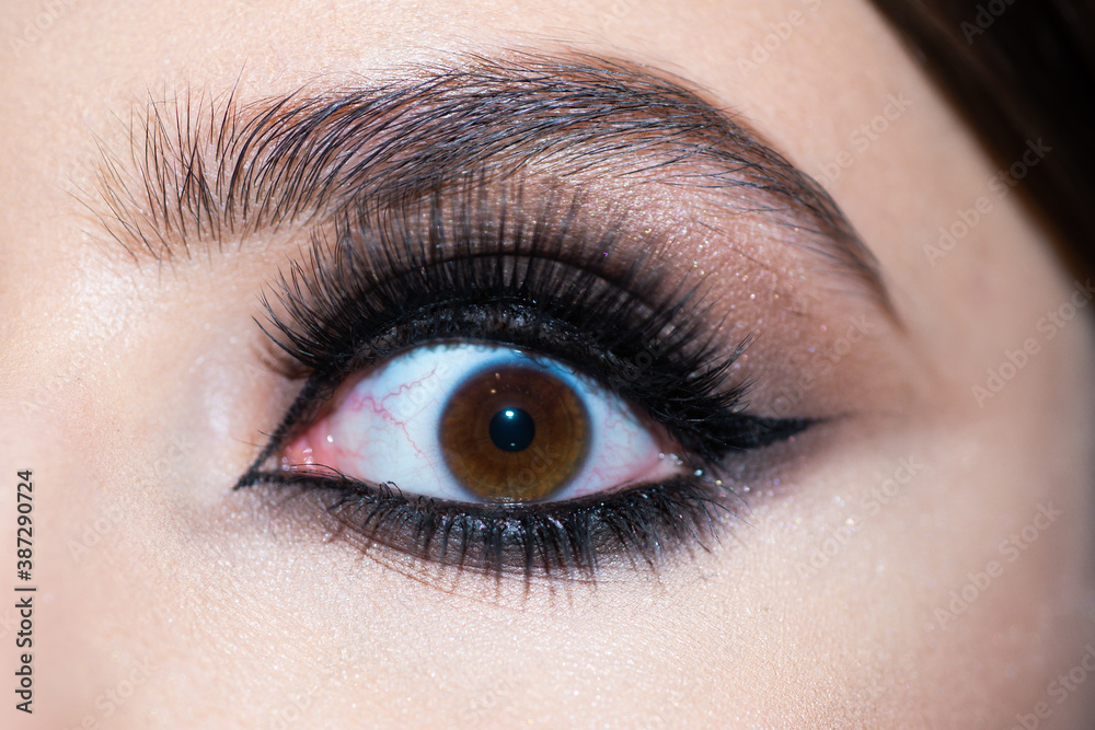 Fototapeta premium Eyes with make up close up. Beautiful eye.