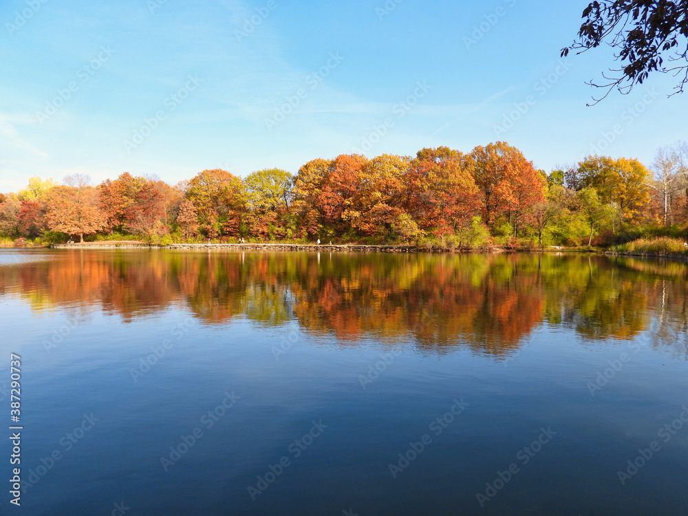 Fall Trees Line Lake Edge in Beautiful Autumn Colors of Orange, Yellow, Red, Brown and Green Reflect in Water on a Beautiful Late Fall Day at Park in Landscape View Scenic Calm Tranquil Pretty Fall Trees Line Lake Edge in Beautiful Autumn Colors of Orange, Yellow, Red, Brown and Green Reflect in Water on a Beautiful Late Fall Day at Park in Landscape View Scenic Calm Tranquil Pretty
