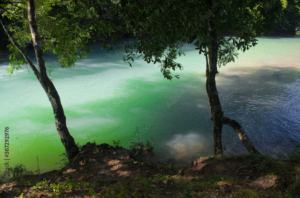 Obraz premium Cascada