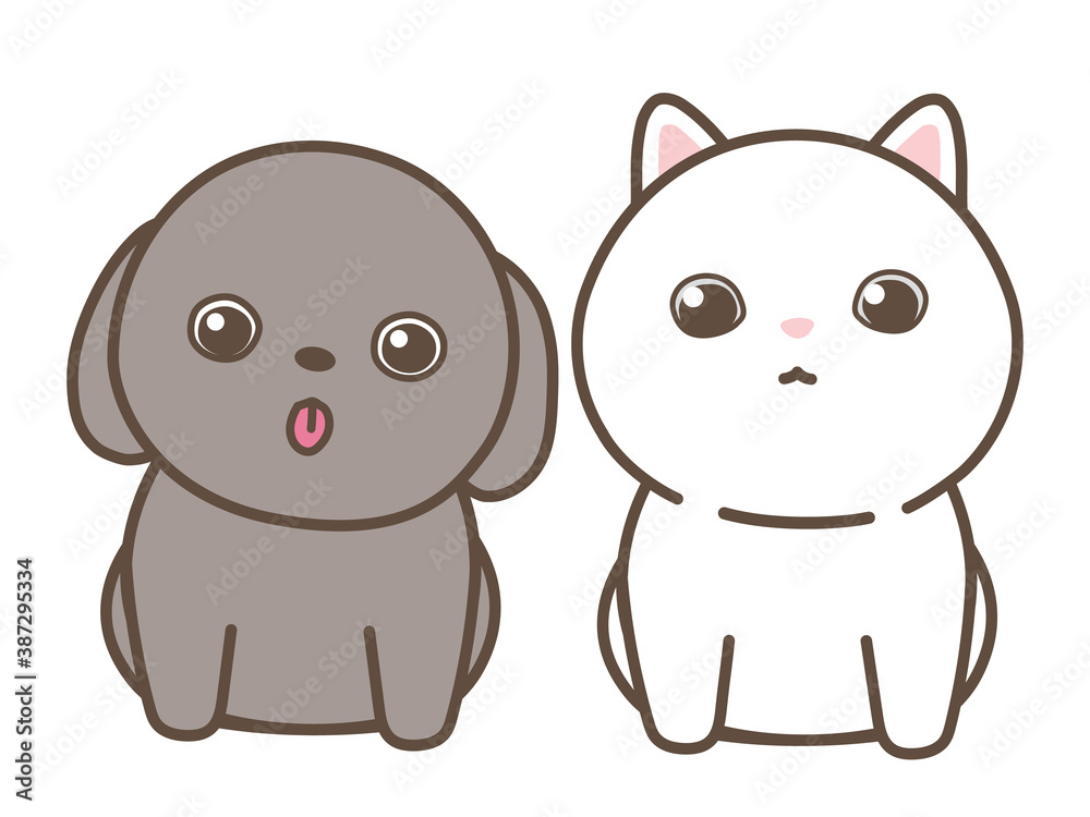 子犬と仔猫 整列 白背景 子犬と仔猫 整列 白背景