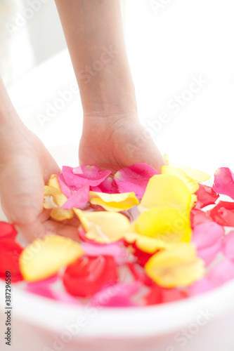 水に浮かべたバラの花びらをすくう女性の手