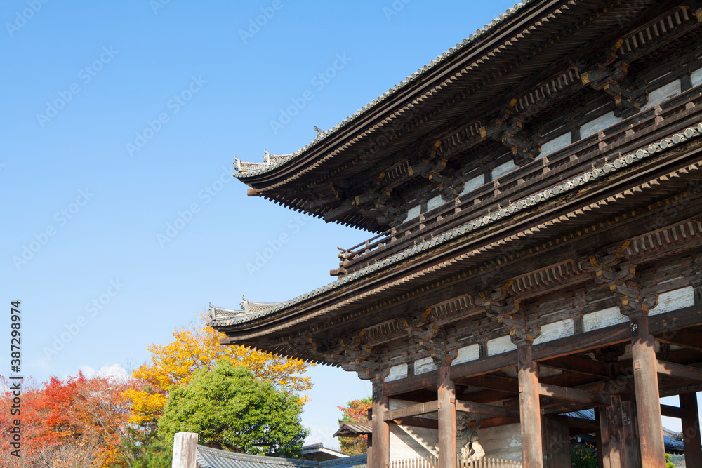 Fototapeta premium 京都の寺院