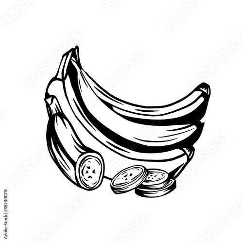 Contour ink sketch of bunch of juicy tropical bananas with banana slice on a white background. Vector outline fruits for cards, banners, menus, recipes and your creativity