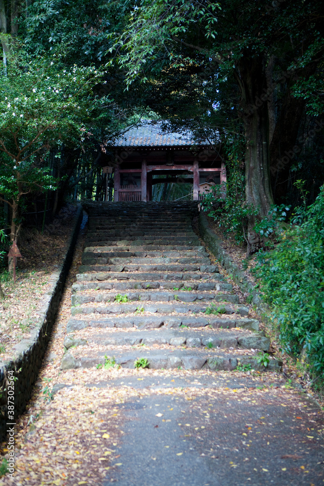 勝持寺 勝持寺